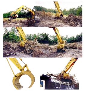 Grapples11 1200px 282x300